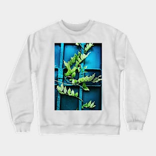 wisteria Crewneck Sweatshirt